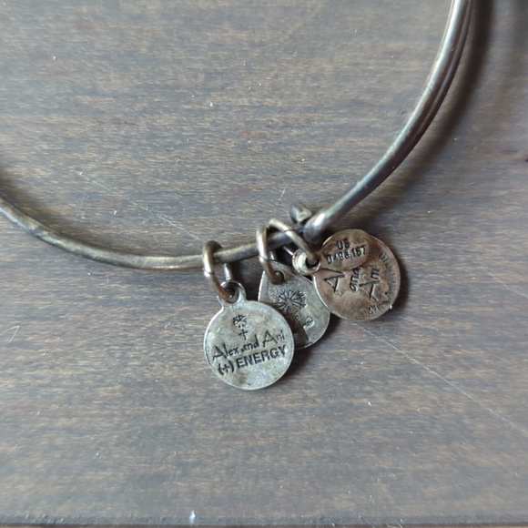 Alex and Ani Compass Bangle - Picture 6 of 6